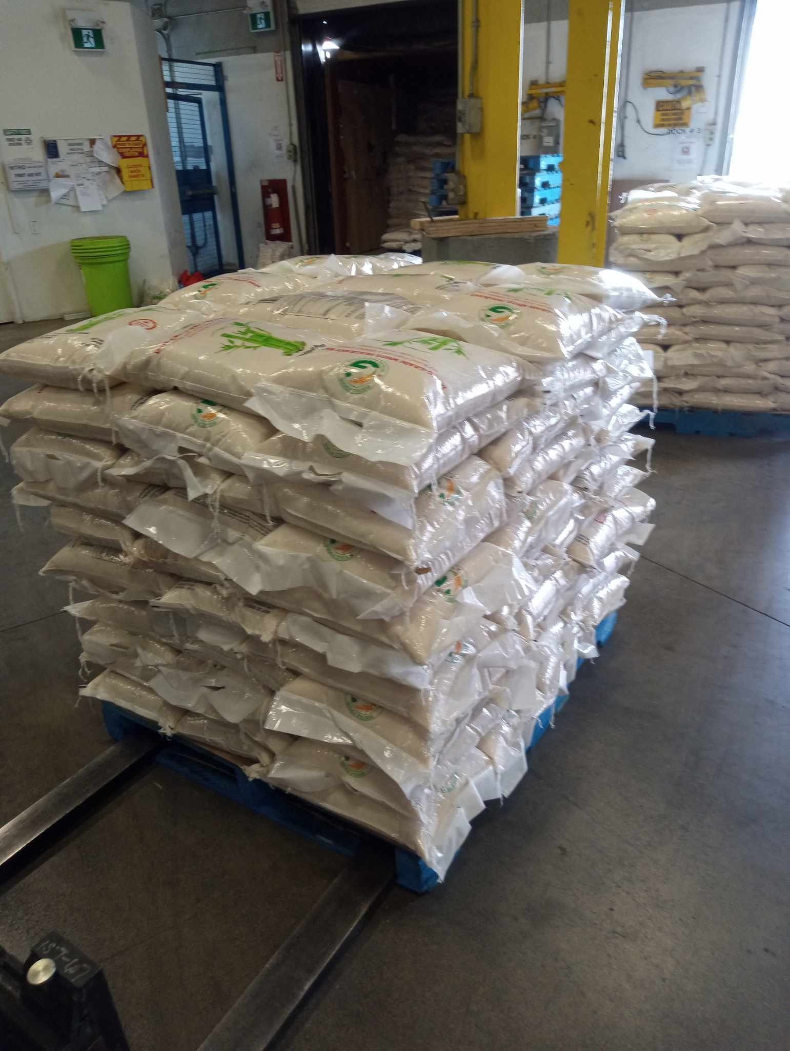 449414781_1002677481449819_4948863748446812245_n